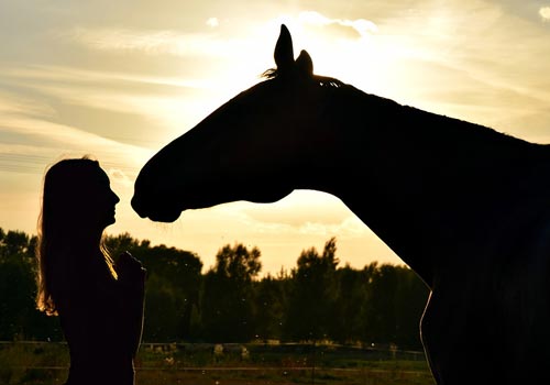 Girl and horse in the sunset